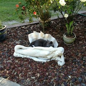 Meet your Posher, Byron